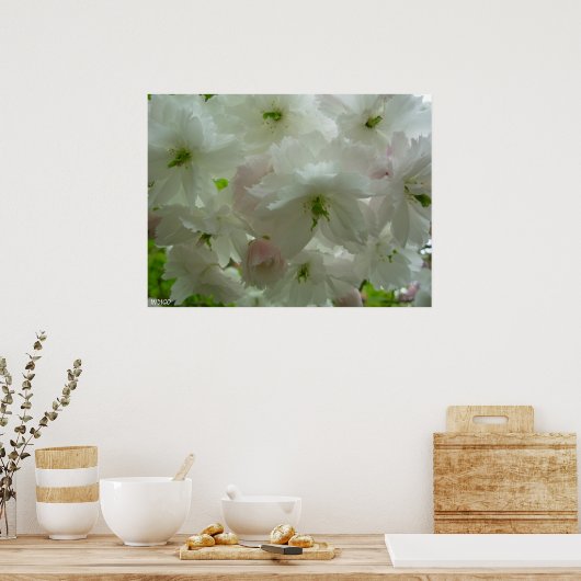 Cherry Blossom Poster Print White Blume Prints (Küche)