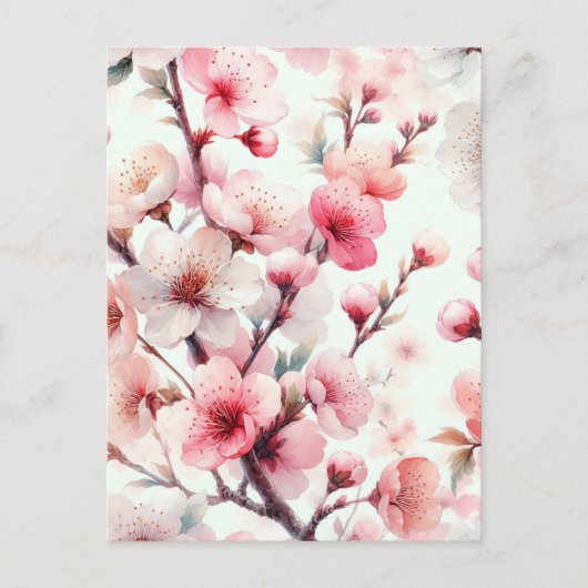 Cherry Blossom Postkarte (Vorderseite)
