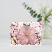Cherry Blossom Postkarte (Stehend Vorderseite)