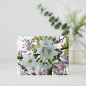 Cherry Blossom Postkarte (Stehend Vorderseite)