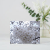 Cherry Blossom Postkarte (Stehend Vorderseite)