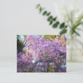 Cherry Blossom Postkarte (Stehend Vorderseite)