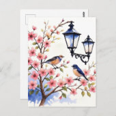 Cherry Blossom Postkarte (Vorne/Hinten)