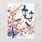 Cherry Blossom Postkarte (Vorderseite)
