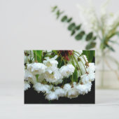 CHERRY BLOSSOM ~ Postkarte (Stehend Vorderseite)