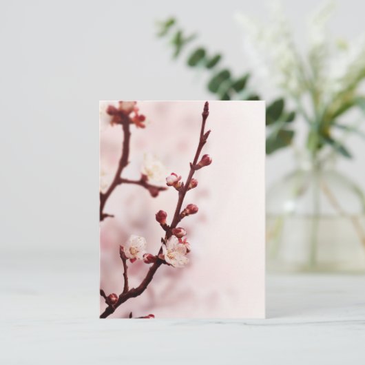 Cherry Blossom Postkarte (Stehend Vorderseite)