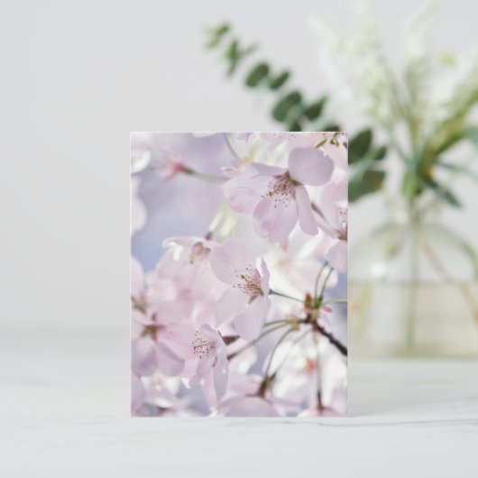 Cherry Blossom Postkarte (Stehend Vorderseite)