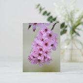 Cherry Blossom Postkarte (Stehend Vorderseite)