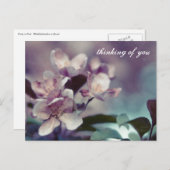 Cherry Blossom Postkarte 1 (Vorne/Hinten)