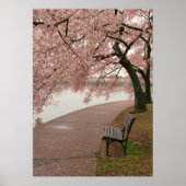 Cherry Blossom Print Poster (Vorne)