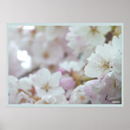 Cherry Blossom Print White Blume Poster Print (Vorne)