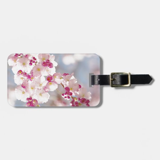 Cherry blossom / sakura / körsbärsblom gepäckanhänger (Vorderseite horizontal)