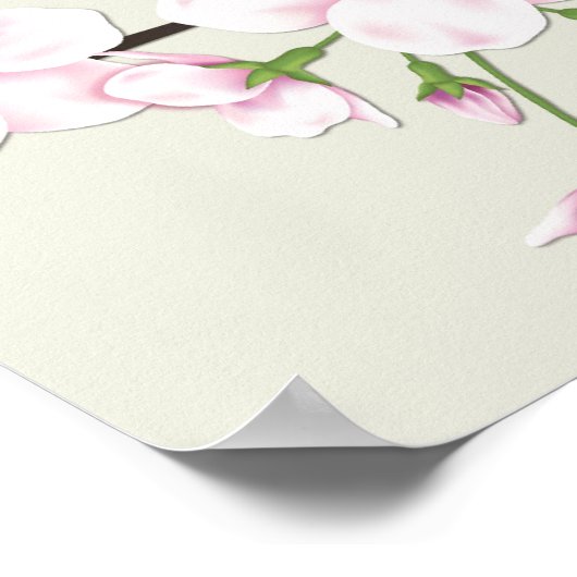 Cherry Blossom Sakura Print Poster (Ecke)