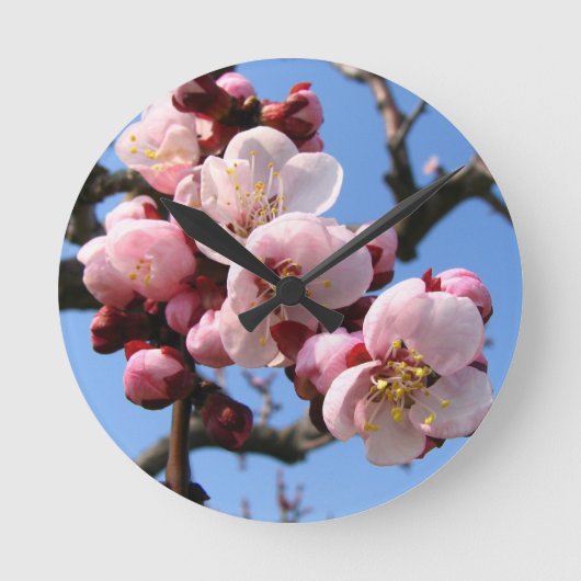 Cherry Blossom Sakura Runde Wanduhr (Vorderseite)