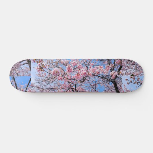 Cherry Blossom Sakuras Oriental Floral Natural Skateboard (Horizontal)