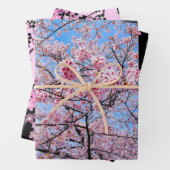 Cherry Blossom Sakuras Orientales Blumenmuster Geschenkpapier Set (Beispiel)