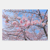 Cherry Blossom Sakuras Orientales Blumenmuster Geschenkpapier Set (Vorderseite)