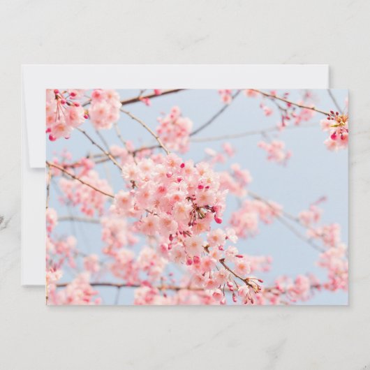 Cherry Blossom Save the Date (Rückseite)