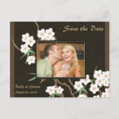Cherry Blossom Save the Date Foto Postkarten (Vorderseite)