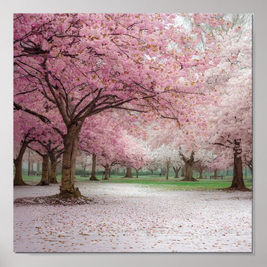Cherry Blossom Serenity - Friedlicher Frühlingspar Poster (Vorne)