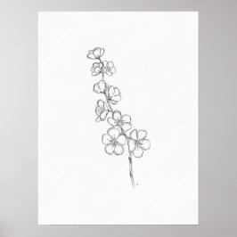 Cherry Blossom Sketch Print Poster