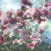 Cherry Blossom Splash Aufkleber (Vorderseite)