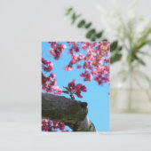 Cherry Blossom Sprig Postkarten (Stehend Vorderseite)