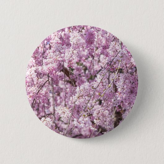 Cherry Blossom Spring Button (Vorderseite)