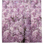 Cherry Blossom Spring Duschvorhang (Vorderseite)
