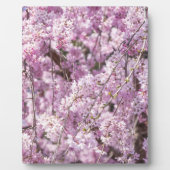 Cherry Blossom Spring Fotoplatte (Vorderseite)