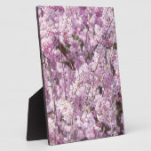 Cherry Blossom Spring Fotoplatte (Seite)