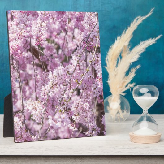 Cherry Blossom Spring Fotoplatte (Seite)