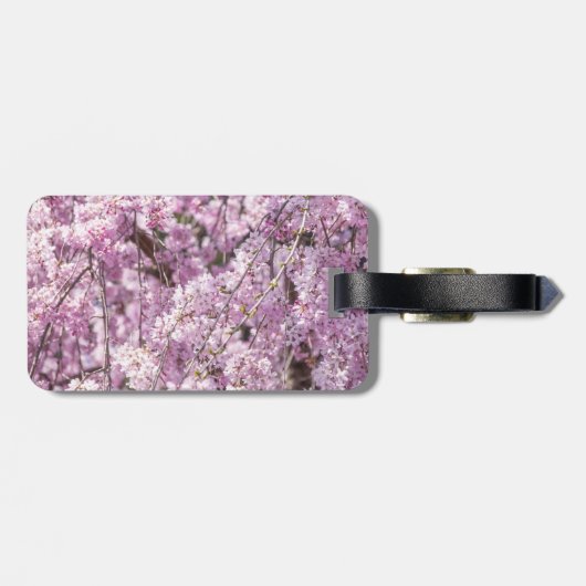 Cherry Blossom Spring Gepäckanhänger (Rückseite horizontal)