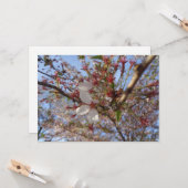 Cherry Blossom Spring Grußkarte Karte (Vorderseite/Rückseite Beispiel)