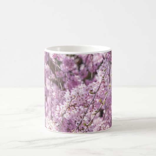 Cherry Blossom Spring Kaffeetasse (Mittel)