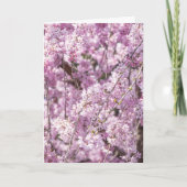 Cherry Blossom Spring Karte (Vorderseite)