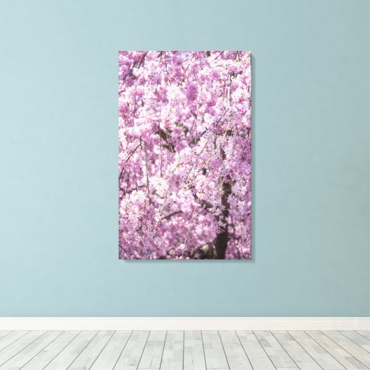 Cherry Blossom Spring Leinwanddruck (Insitu (Holzboden))