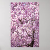 Cherry Blossom Spring Poster (Vorne)