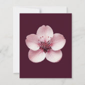Cherry Blossom Stationery (Vorderseite)