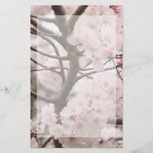 Cherry-Blossom-Stationierung Briefpapier