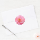 Cherry Blossom Stickers (Umschlag)