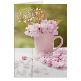Cherry Blossom Stilllife Spring Text