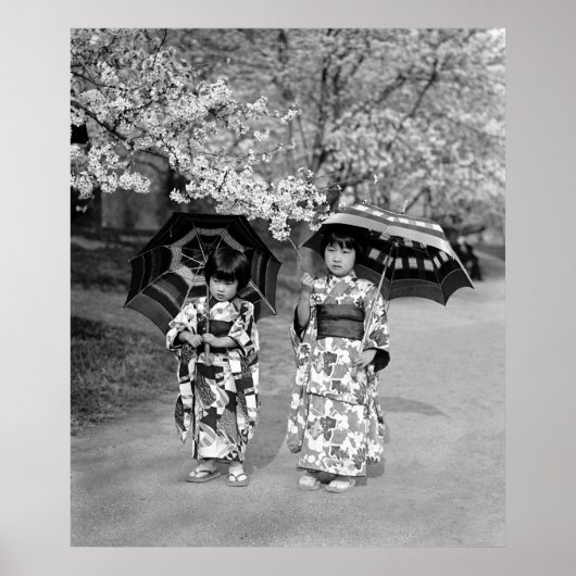Cherry Blossom Stroll, 1925 Poster (Vorne)