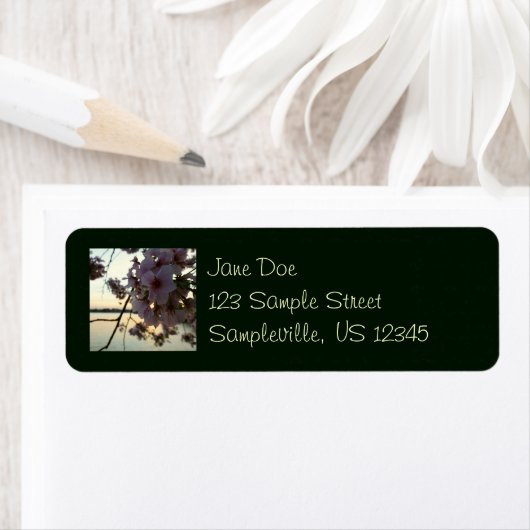 Cherry Blossom Sunset in Washington DC (Insitu)