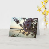 Cherry Blossom Sunset in Washington DC Karte (Gelbe Blume)