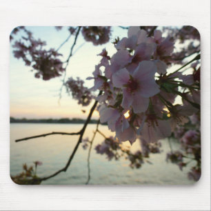 Cherry Blossom Sunset in Washington DC Mousepad