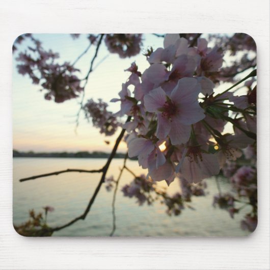 Cherry Blossom Sunset in Washington DC Mousepad (Vorne)