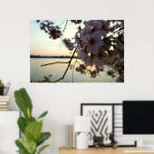 Cherry Blossom Sunset in Washington DC Poster (Heimbüro)