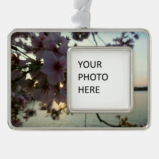 Cherry Blossom Sunset in Washington DC Rahmen-Ornament Silber (Vorderseite)