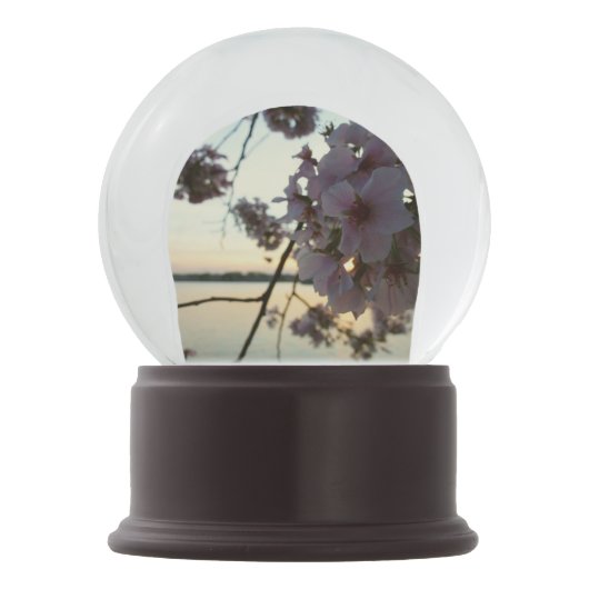 Cherry Blossom Sunset in Washington DC Schneekugel (Rückseite)